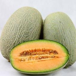 民工吃哈密瓜视频大全下载,甜蜜瞬间，温暖人心