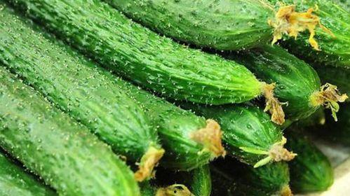 广艺校花吃瓜视频,校园生活趣味瞬间大揭秘