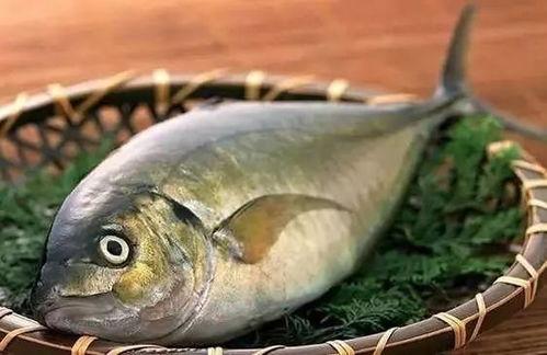 吃鱼吃瓜吃饭视频,饭桌上的视觉盛宴