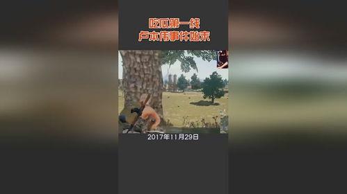 大丰吃瓜事件始末视频,一场网络狂欢背后的真相与反思