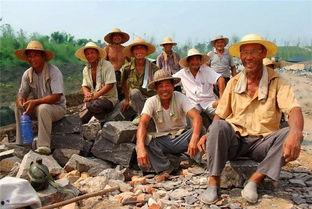 宁夏农民吃瓜事件视频曝光,揭秘瓜农困境与乡村振兴挑战