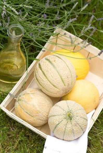 二三里吃瓜比赛视频,一场视觉与味觉的双重盛宴