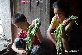 河北姐弟们吃瓜视频大全,揭秘吃瓜视频大全背后的故事