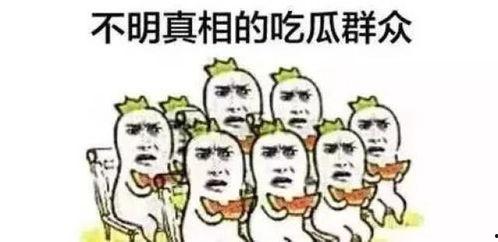 吃瓜群众糟心视频下载,揭秘网络热点背后的辛酸与无奈