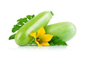 小朋友吃茭瓜视频大全,小朋友们的茭瓜视频大盘点