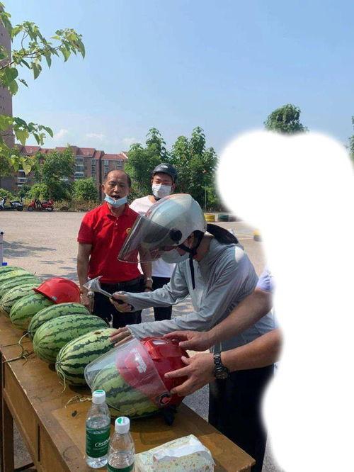 唐山古冶吃瓜事件视频曝光,视频曝光揭示惊人真相