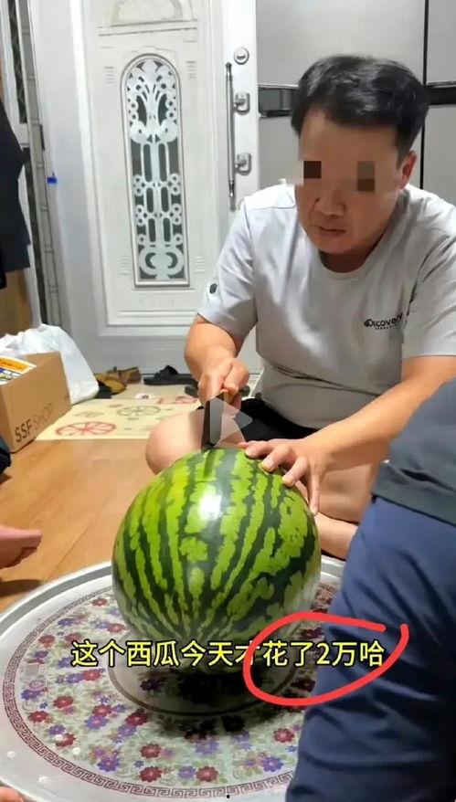买瓜吃视频,揭秘挑选好瓜的秘诀与趣味