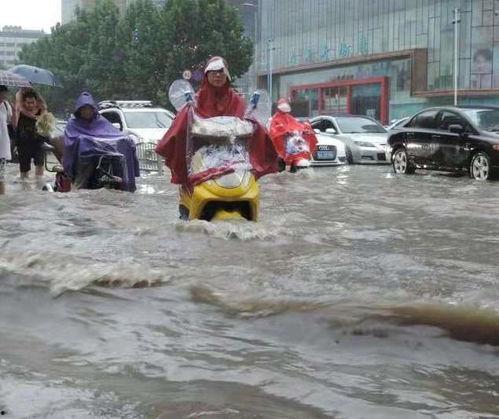 河南小孩子吃瓜事件视频,意外视频引发社会关注