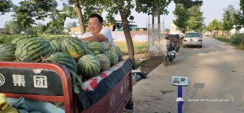 郸城县吃瓜事件视频最新,一场引发热议的网络风波