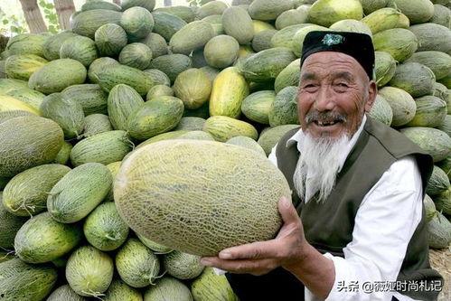 外国人吃新疆哈密瓜视频,外国人品尝新疆哈密瓜的甜蜜之旅