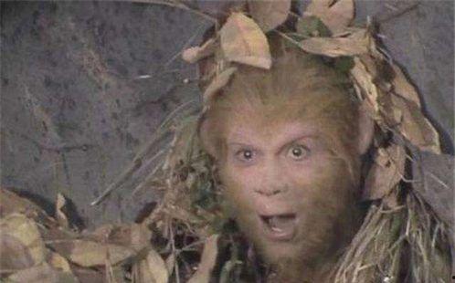 悟空吃瓜事件视频大全播放