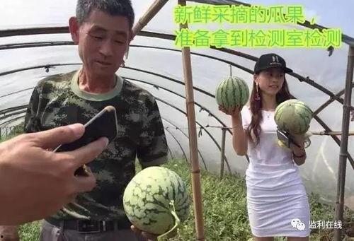 吃瓜群众观看视频,笑料百出，引人入胜