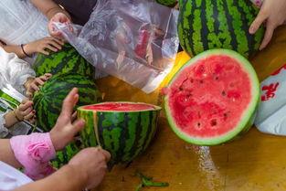 清华吃瓜视频在哪看啊,观看指南与热门话题一览