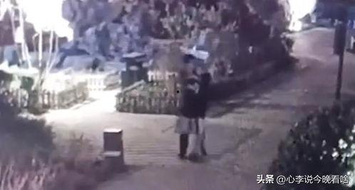 定州沙河吃瓜事件视频播放,网络热议背后的真相揭秘